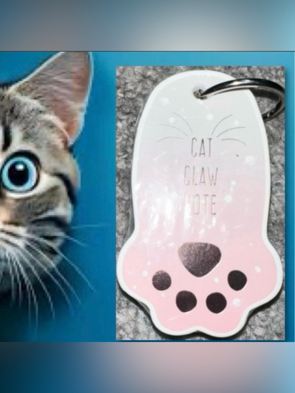 $2 Cat Claw Note Paw-Shaped flash cards notebook $2 WITH ANY $10 ORDER OR MORE
